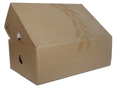 thùng carton nắp chồm