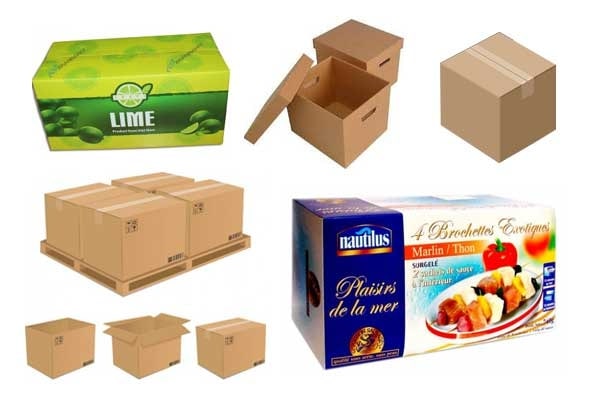 công năng sử dụng thùng carton