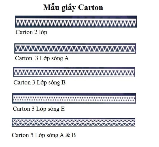 đặt thùng carton tại hà nội