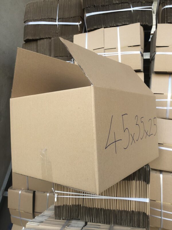 431680753_407607632023409_2382323493131985663_n 431680753_407607632023409_2382323493131985663_n