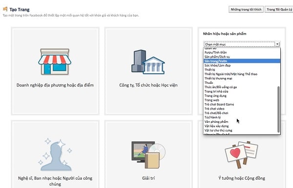 chọn danh mục bán hàng online trên fanpage