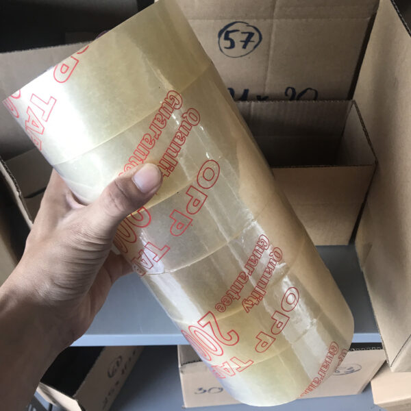 01c98aec028dfed3a79c 01c98aec028dfed3a79c