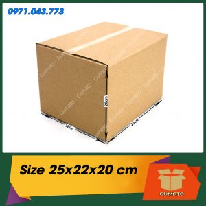 P73 - 25x22x20 cm - Thùng Carton lớn 3 lớp
