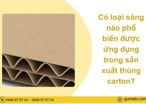 sóng thùng carton