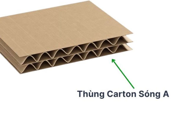 Phân loại giấy carton theo loại sóng