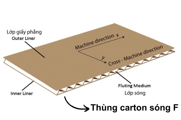 Thùng carton sóng F