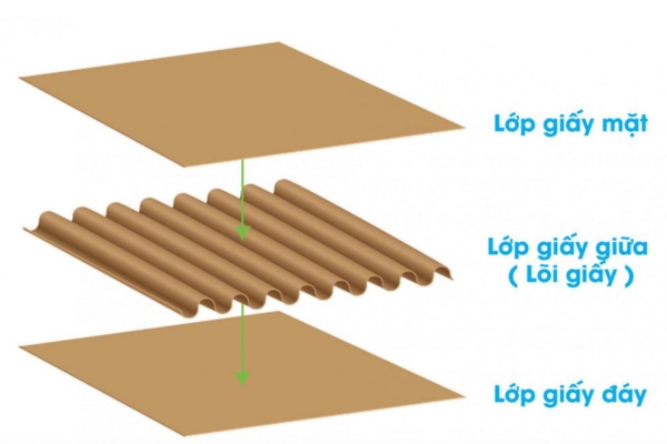 các lơp của thùng giấy carton
