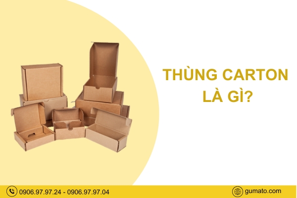Thùng carton là gì?